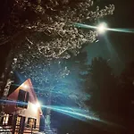 Moonica Rujiste موستار