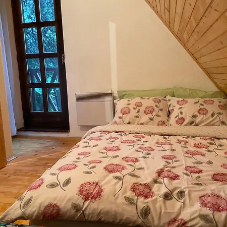 Moonica Rujiste Mostar