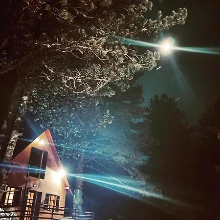 Moonica Rujiste Mostar