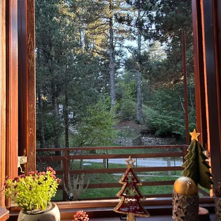 Moonica Rujiste Holiday home