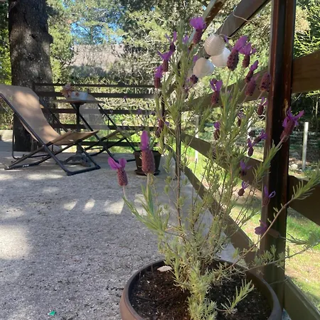 Holiday home Moonica Rujiste
